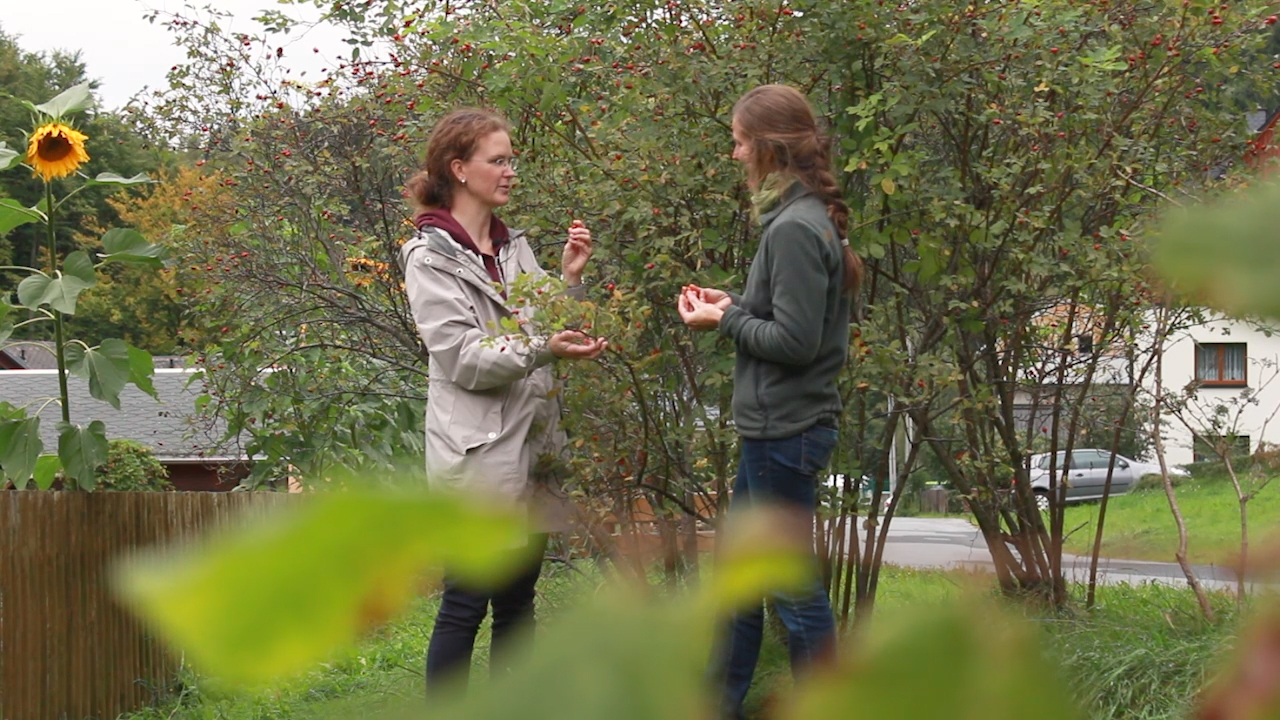 MEgional mit Kräutern aus dem Erzgebirge MEgional mit Kräutern aus dem Erzgebirge