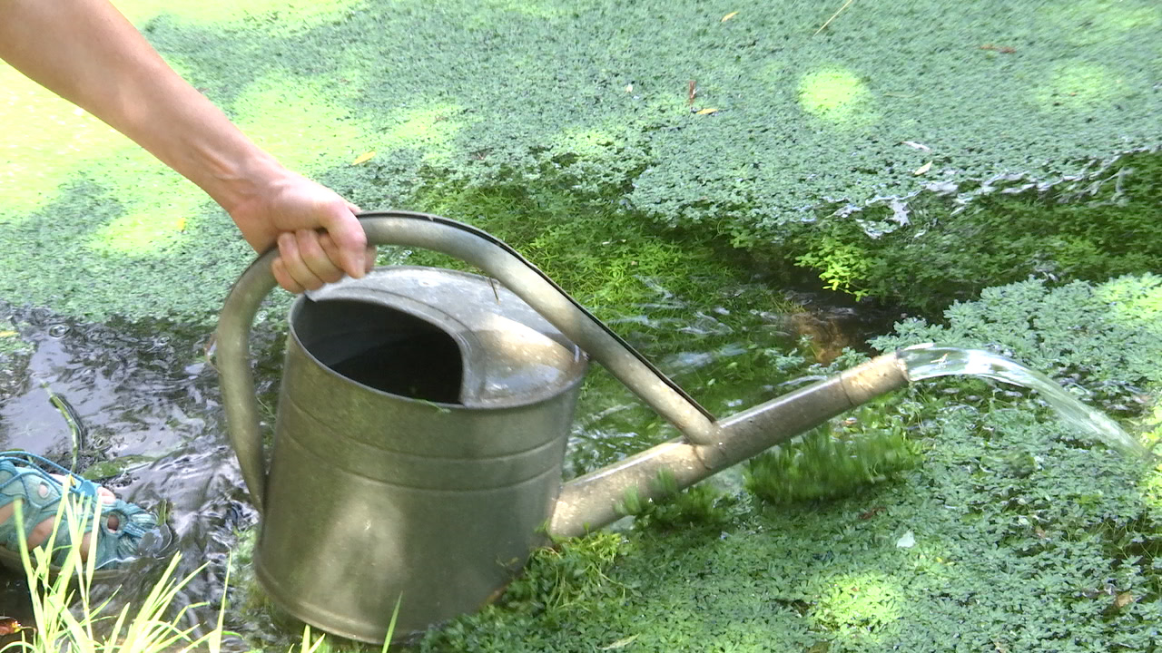 MEgional heute mit dem Verbot zur Wasserentnahme im Erzgebirgskreis MEgional heute mit dem Verbot zur Wasserentnahme im Erzgebirgskreis