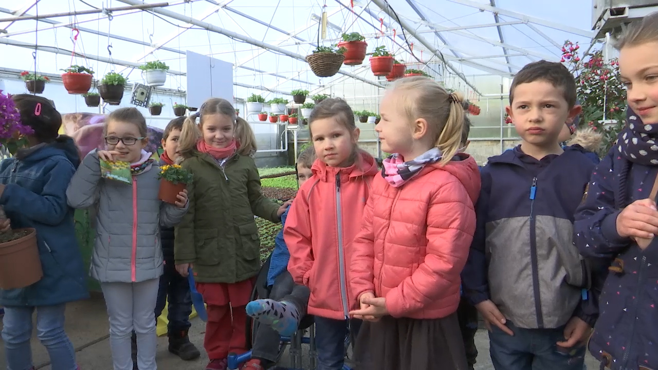 MEgional am 16. April 2019 mit "jungen Pflänzchen" in einer Gornauer Gärtnerei MEgional am 16. April 2019 mit "jungen Pflänzchen" in einer Gornauer Gärtnerei